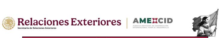 Programa de Becas en Idioma Inglés – Organización Mundialde Alfabetización (WLO) 2025